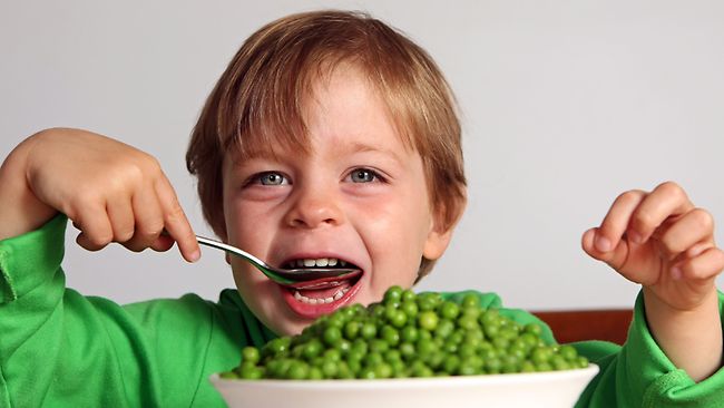 Back to School: Healthy Breakfast and Lunch Recipes for Your Kids