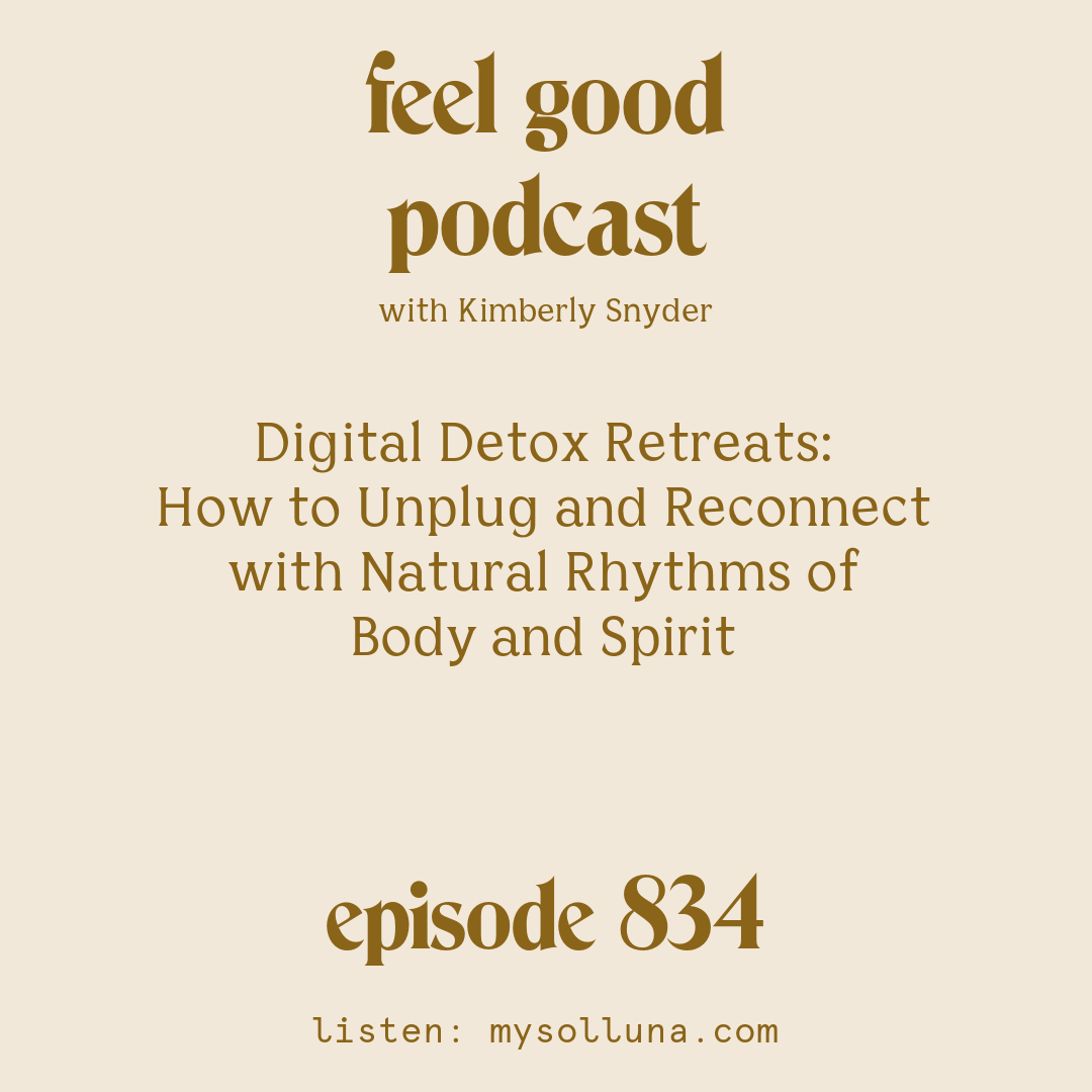 Digital Detox Retreats: How to Unplug and Reconnect with Natural ...