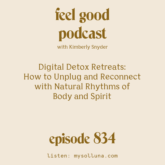 [Episode #834] Blog Graphic for Digital Detox Retreats How to Unplug and Reconnect with Natural Rhythms of Body and Spirit with Kimberly Snyder.