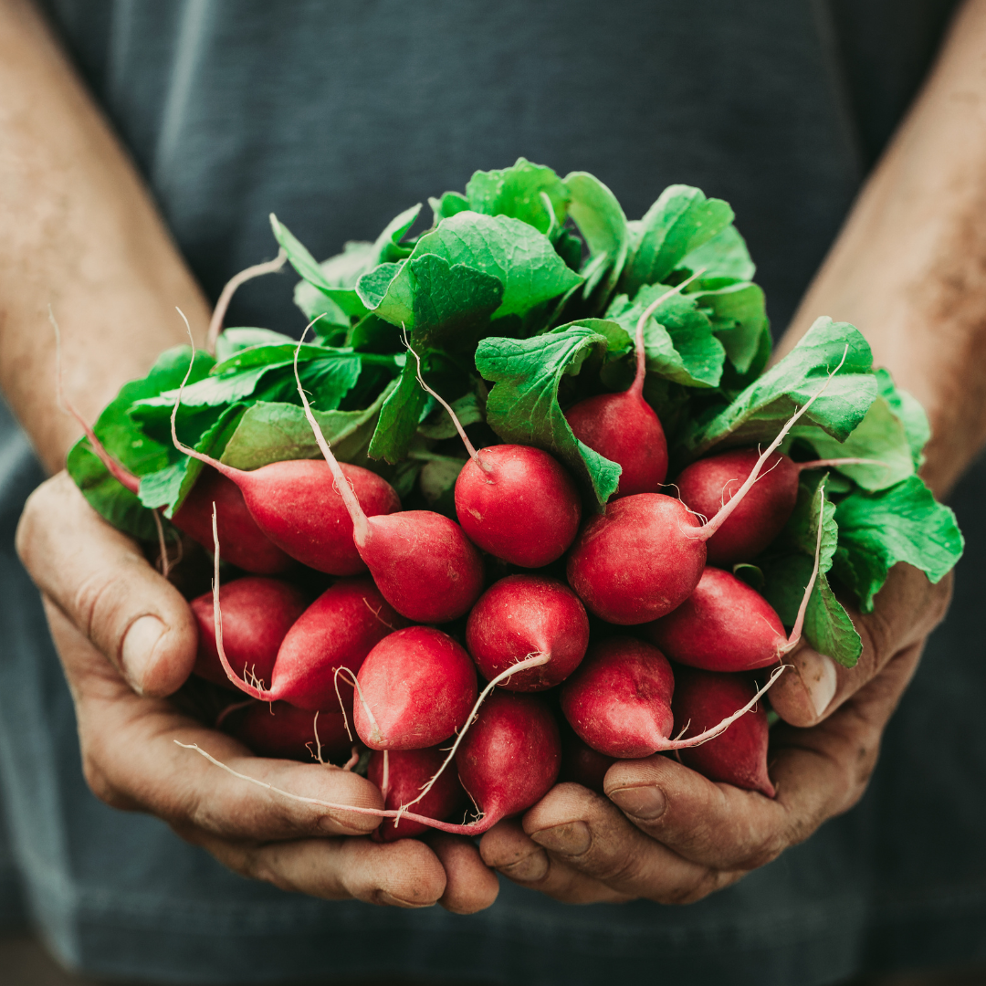 Unprocessed living foods