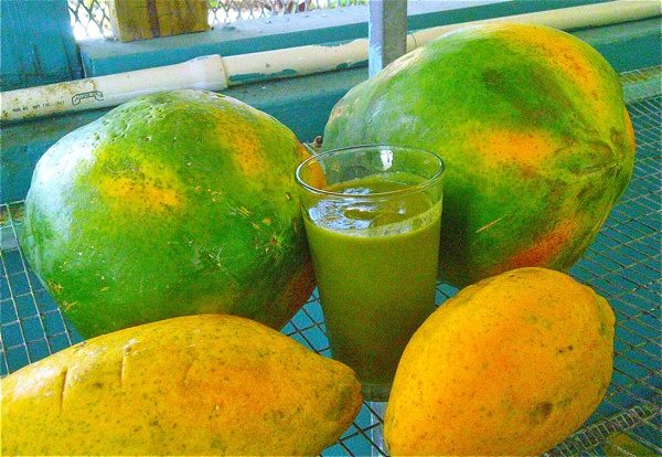 Puerto Rican Glowing Green Smoothie
