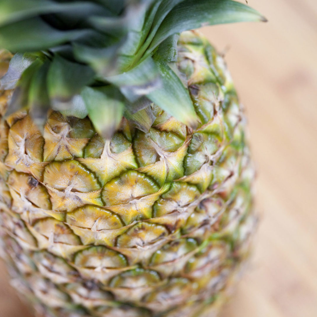 A Primer On Enzymes Part 1: Enzymes and Food