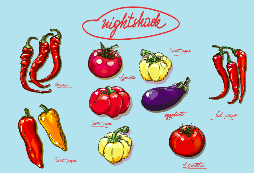 Should You Eat Nightshade Vegetables?