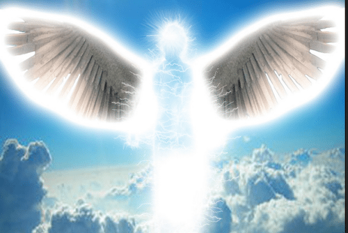 Surviving Grief & Big Life Changes