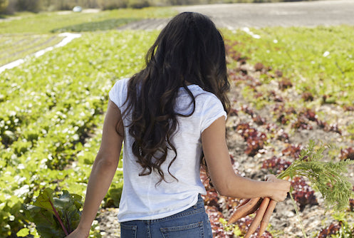 Want Healthier Looking Hair?