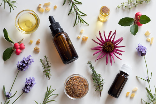 Bottles of essential oil with rosemary thyme creeping thyme echinacea wintergreen lavender myrrh and frankincense on a white background