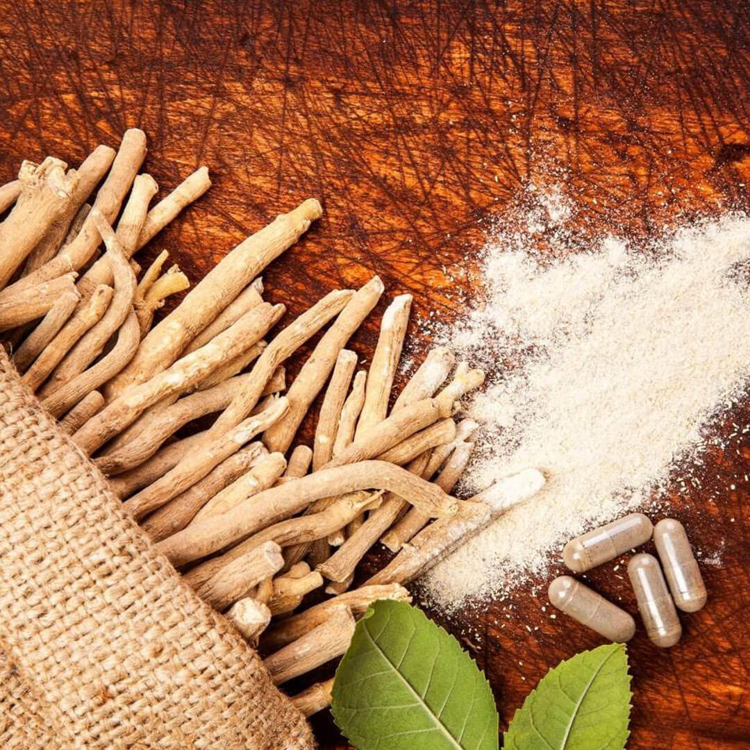 conception aid and medicinal herb ashwagandha root and powder laying on a table