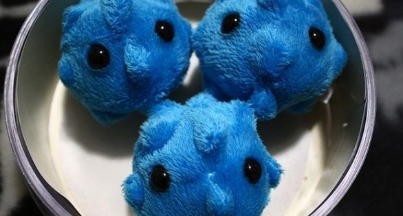 How to Reduce Yeast Infections