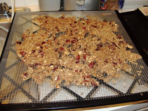 Picture of grain-free, gluten-free granola