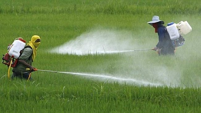 Update on Organics Study: Truth or Flawed?