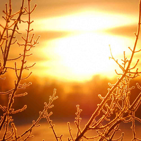 6 Natural Cures for Seasonal Affective Disorder (SAD)