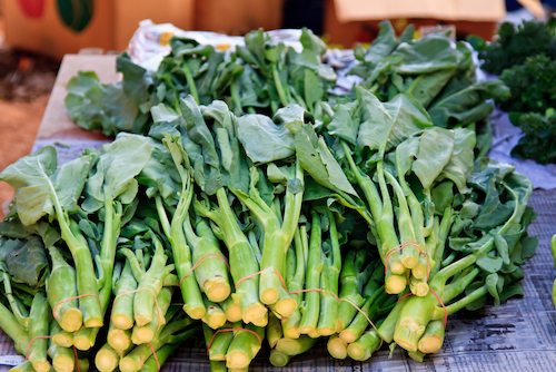 Picture of leafy greens.