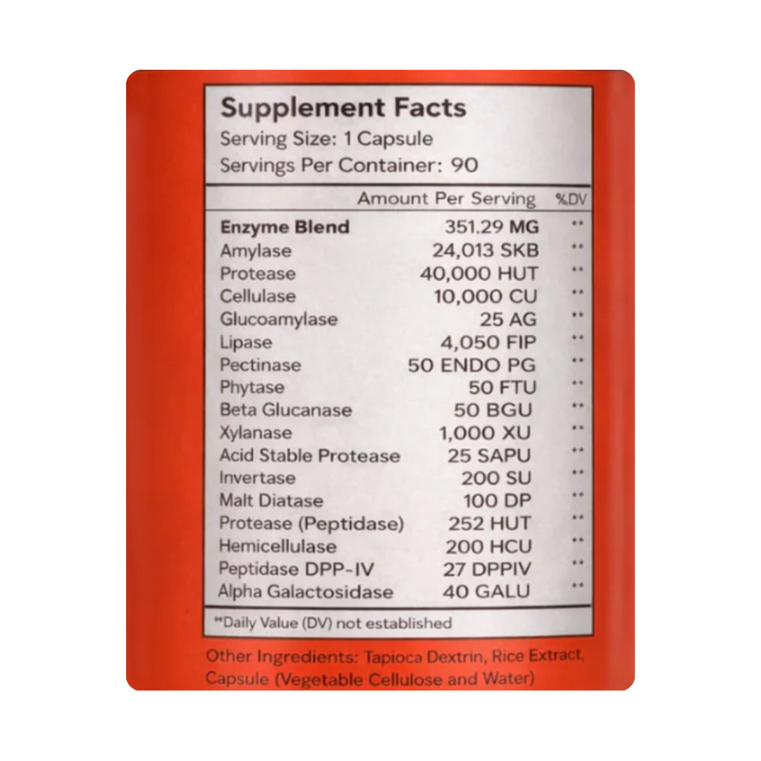 Gut Health Essentials Bundle