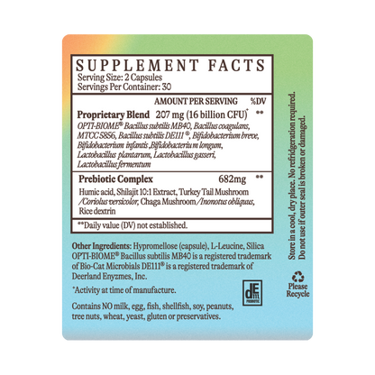 Gut Health Essentials Bundle