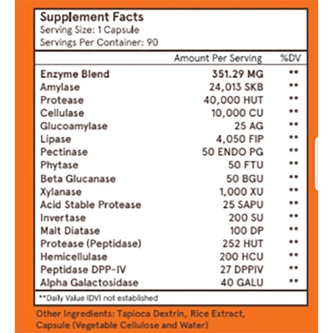 Gut Health Essentials Bundle