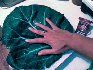 Picture of Kimberly's hand on top of a piece of collard greens