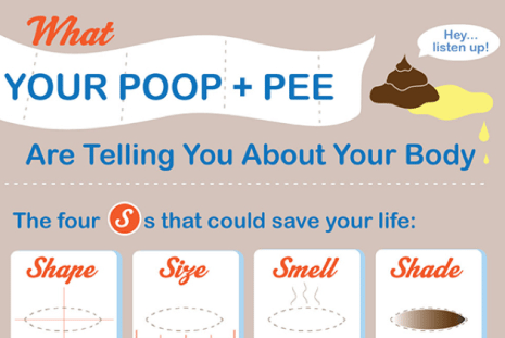 What Your Poop And Pee Are Telling You About Your Body « Solluna By ...