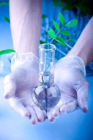 The Scary Truth About Genetically Modified Foods and What You Should Do