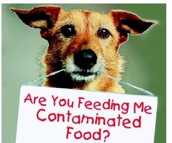 what is in pet food