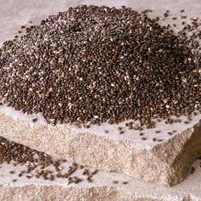 Picture of Chia Seeds. One of the foods that helps you burn belly fat.