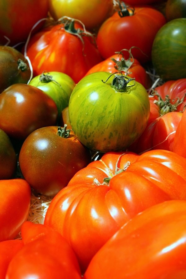 Think You Don’t Like Tomatoes? Think Again!