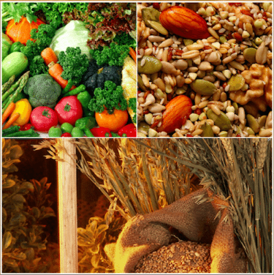 Picture of vegi's, nuts and seeds and grains