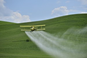pesticide in apple juice