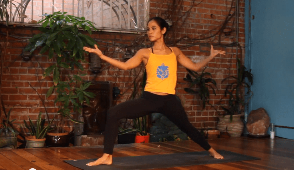 New Yoga Flow Video (Lakshmi)