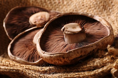 Picture of portobello mushrooms