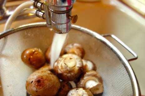Picture of mushrooms being washed in a colander