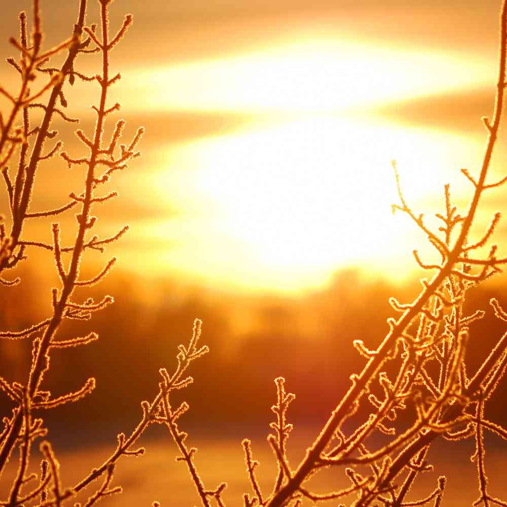 6 Natural Cures for Seasonal Affective Disorder (SAD)