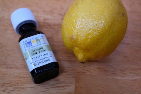 Picture of a bottle of Lemon Tea Tree oil and a fresh lemon