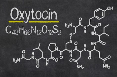 Picture of Oxytocin diagram