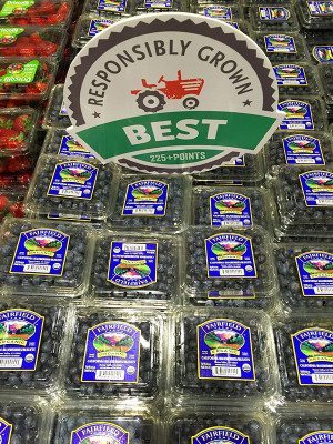Image of organice blueberries