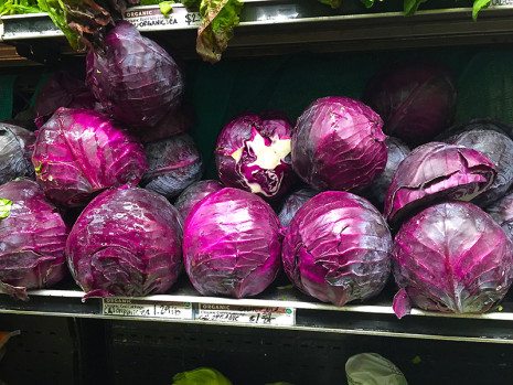 Image of organic purple cabbage