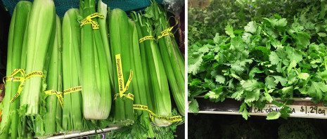 Image of organic celery and cilantro 