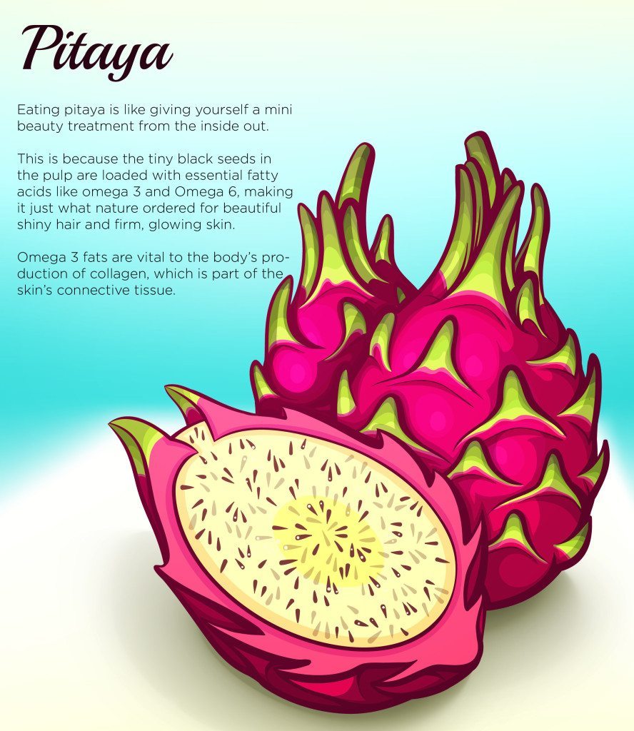 272_freshness-pitaya-leaflet-vector-illustration_100115