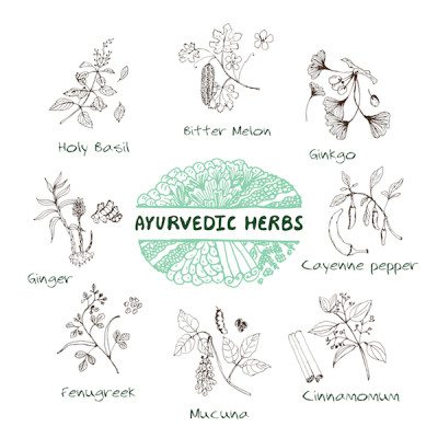 Picture of ayurvedic herbs 
