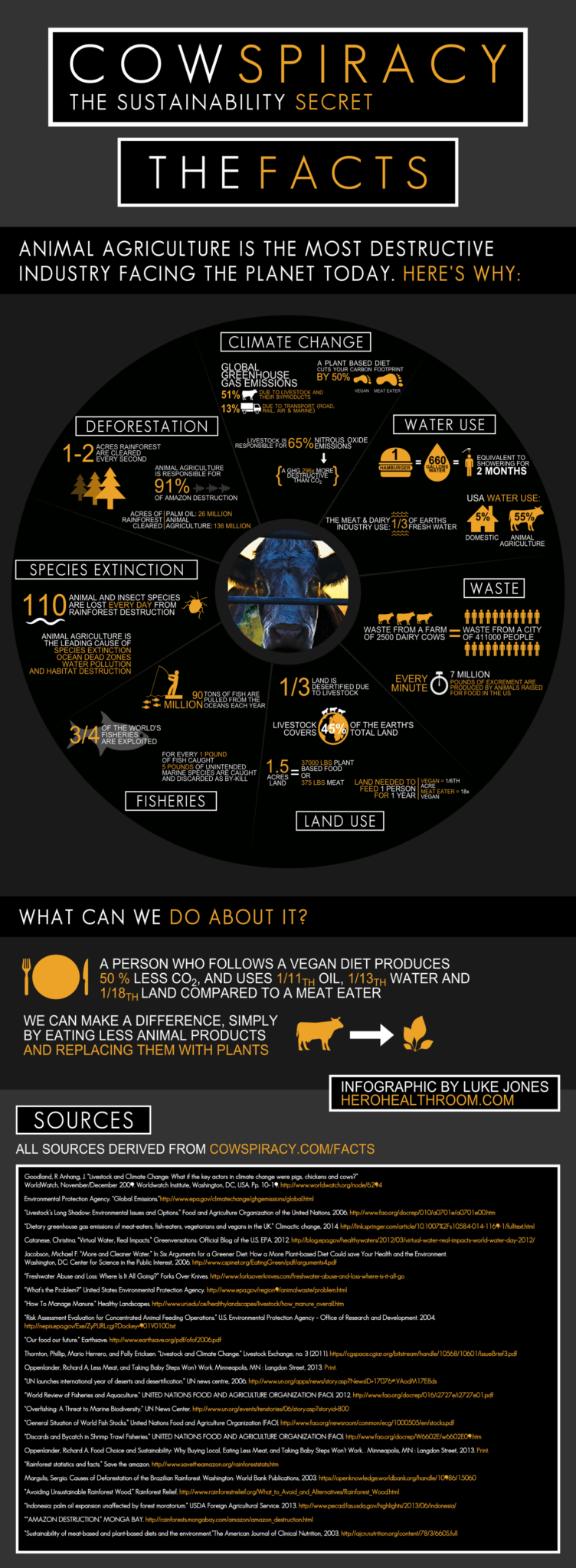 Cowspiracy-Infographic