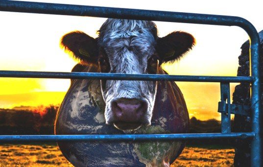 Open Your Eyes to the #1 Threat to Our Planet and Health