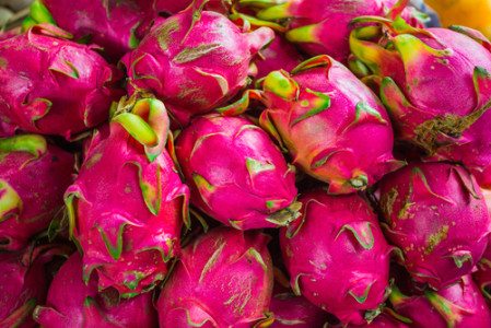 The Power Of Pitaya With Founders Chuck And Ben & How To Boost Your Immunity  [BIO Podcast: Ep. 29]