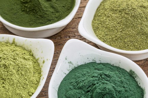 Picture of four healthy green dietary supplement powders (spirulina, chlorella, wheatgrass and moringa leaf) in white bowls