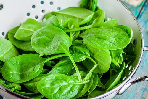 Picture of Raw Fresh Spinach In A White Colander Closeup