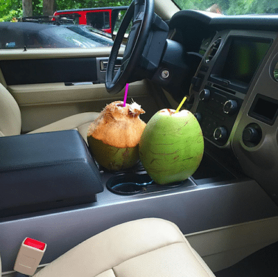 Picture of coconuts in Kimberly's car. 