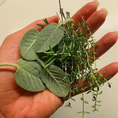 Picture of Kimberly holding fresh herbs. 