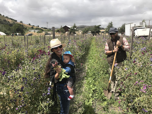 Picture of Kimberly Snyder and Lil Bub picking fresh produce with a local farmer. 