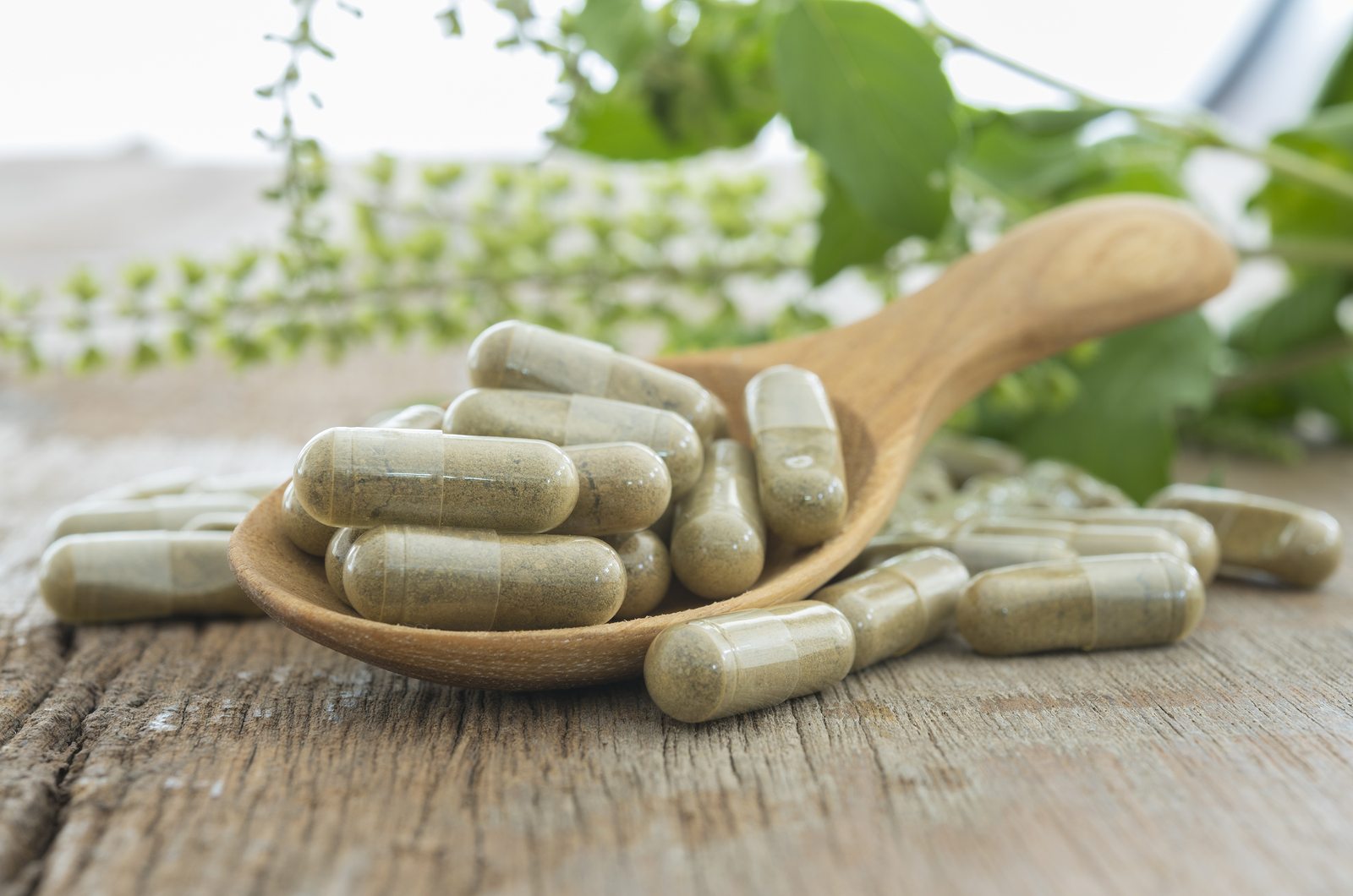 Herb capsule Nutritional Supplement Vitamin Pill Herbal Medicine
