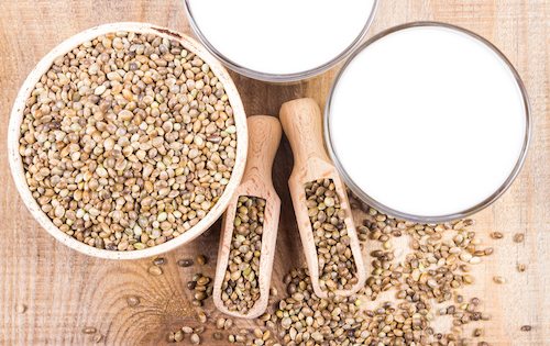 Close Up of hemp milk and seeds on wooden background .