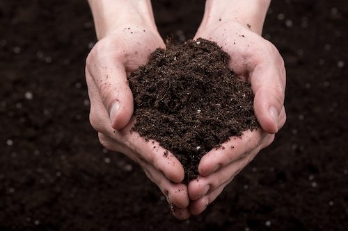 Bunch of good soil in hands on ground background