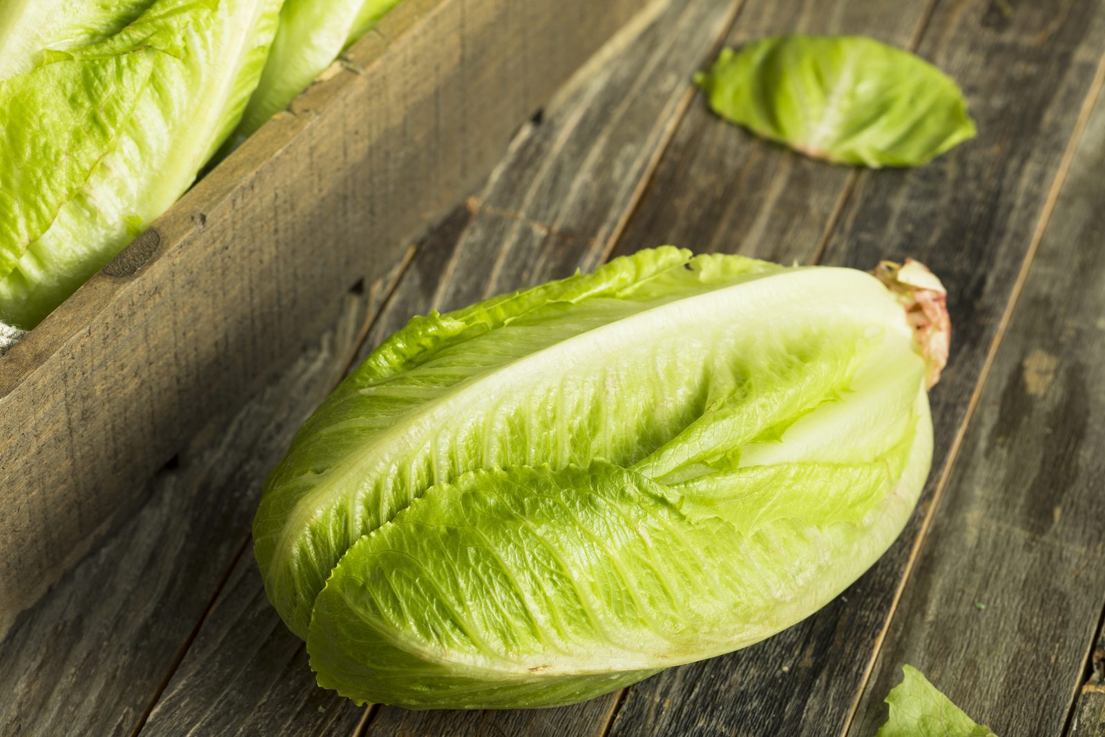 Does Romaine Have Any Health Benefits? [BIO Podcast: Ep. 178]